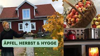 Unser Hof in Schweden - Ruhige und gemütliche Herbsttage im Waldhaus