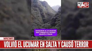 El Ucumar volvió a Salta y aterrorizó a los habitantes de una comunidad