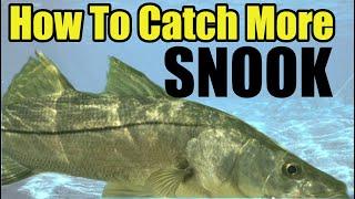 Catch MORE Snook Guaranteed (Florida Saltwater Fishing) Tips For Catching Snook During The Day