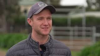 Arthramid Vet Testimonial | JD Hayes, Lindsay Park Racing