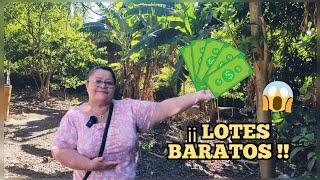 ¡¡ TERRENOS BARATOS !!  Cerca de Centros Comerciales En Santa Ana, El Salvador 