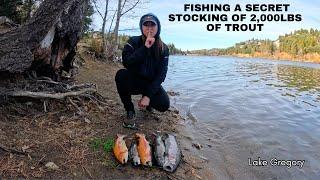 Trout fishing | Lake Gregory