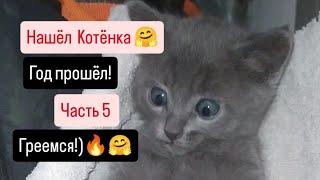 Нашёл Котёнка  Год прошёл!Часть 5.Греемся!)