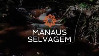 Bem vindo a Manaus Selvagem!