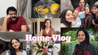 Home Vlog | Sindhu Krishna