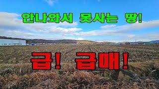 강화도 부동산 초급매! 강화도 농지 급매! 마을길 농가주택 허가 나는 원주민땅!