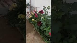 Home stay near Belpahari || Lal pipre Family Guest house ||pz contact- 7501644788