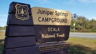 Visit Juniper Springs Recreation Area in Ocala National Forest - Camp, Hike, Paddle, and Enjoy