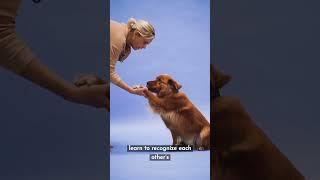 Is Your Dog Secretly a Genius?