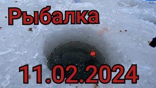 Рыбалка на поплавок 11 февраля 2024! Взгляни в Лицо Своему Страху,что-бы Поймать Этих Рыб!