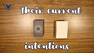 ️ THEIR CURRENT INTENTIONS TOWARDS YOU ️️‍🩹 Timeless Tarot Reading 