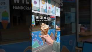 I Tried Ice Cream In Alaska