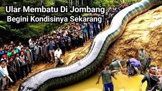 Ular Besar Purba Berubah Jadi Batu Bikin Jombang Gempar ! Masih Ada Sampai Sekarang