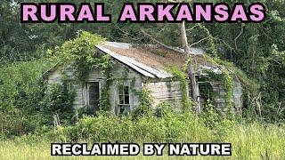 Driving RURAL ARKANSAS: The Crazy Things I Saw