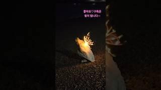 신비로운 요정컨셉 무보정 영상 끝까지!! #halloween #fairy #cosplay #angel #spooky #costume #scary #fireworks #magical