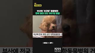 부산에 전국 최대 규모 대학동물병원 건립 / KNN