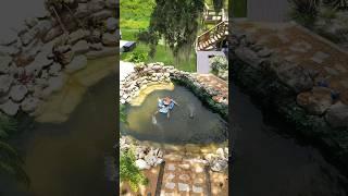 COMPLETED MY DUCK SANCTUARY 