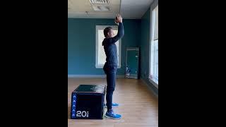 Sit to Stand with Overhead Press