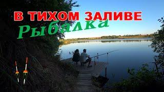 Не Всегда Хорошее Место бывает КЛЁВЫМ / Fishing Video