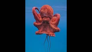 World rarest fish eggs? #telugu #facts #amazingfacts #shortfeed #viralvideo #trending