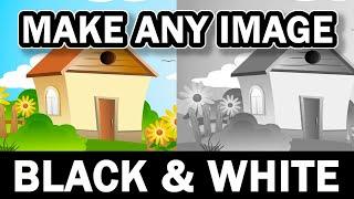 Make Image Black and White in GIMP | usemybox