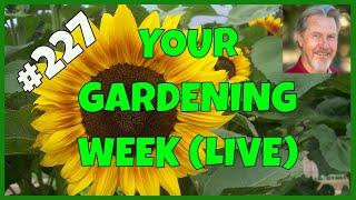 Saving Garden Seeds (Q&A)