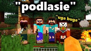 polskie miasta, ale w minecraft