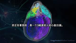 心智 Heart Intelligence