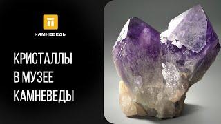 Кристаллы в музее Камневеды