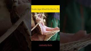 Snake ager khud ko kar la lo  #facts #viralshorts #snake #factsinhindi