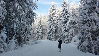 Zima w Żabnicy -  Beskid Żywiecki - 6 luty 2023