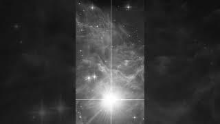 RS Puppis from the Hubble Space Telescope #shorts