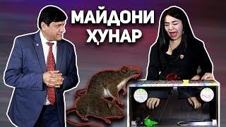 Чонон дар барномаи МАЙДОНИ ХУНАР / Муш Чонона Газид!