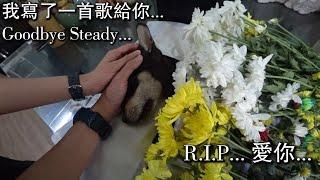 我写了一首歌给你...Goodbye Steady....R.I.P....爱你