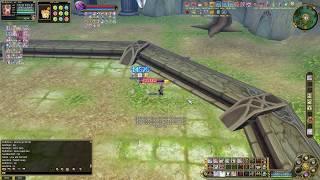 Insanity Flyff Adoch FM PvP