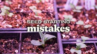 How to Start Seeds Indoors: Beginner Tips to Get Your Garden Growing!