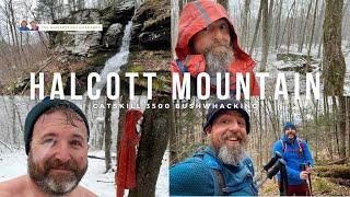 Hiking Halcott Mountain - Snowy Catskill 3500 trailless peak bushwhack