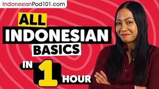 Learn Indonesian in 1 Hour - ALL Basics Every Beginners Need