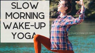 15 Minute Slow Morning Wake-Up Yoga to Start Your Day