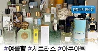 남녀노소! 쿨한 여름 향수 잔뜩 추천시트러스, 허브, 마린향 모음