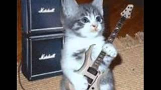 Pride and Joy by Stevie Ray Vaughan cover Mark sings