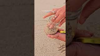 Let's bring the beach home in a Jar 🫙 #beachinjar #beach #shells #dubai