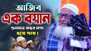 এত সুন্দর ওয়াজ আর কখনো শুনেন নাই ! আল্লামা লুৎফর রহমান ওয়াজ । Allama Lutfur Rahman New Waz 2023