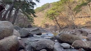 지리산 "계곡 물소리 ASMR" 딱!30분ㅣ명상ㅣ집중ㅣ잠들기전ㅣ심신안정ㅣ멍때리기 너무 좋은 소리,얕게 흐르는 계곡 물 소리