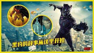 [23期] MCU | 黑豹，豆瓣评分6.5,全球票房全十，这就不太合理 |  漫威小羽 | 小羽讲漫威 | 漫威时间线 | 黑寡妇