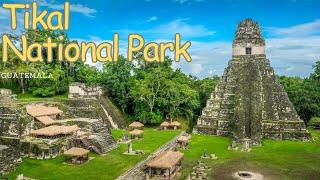 Exploring the Mysteries of Tikal National Park, Guatemala