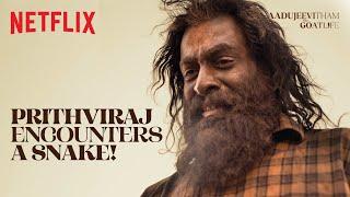 Prithviraj NARROWLY ESCAPES a DEADLY Snake | #Aadujeevitham | Netflix India