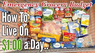 Eating Dinner For $1.60 A Day (Full Month)