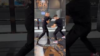 LIVER SHOT COMBINATION #russianboxing #thaiboxi #motivation #boxing #fypシ゚vira #fypシ゚vira
