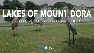 Lakes of Mount Dora 55+ Active Adult Retirement Community | Mount Dora, Florida | 55plus.tv